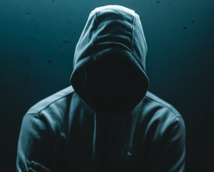 Finding software vulns