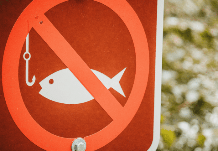 ChatGPhish No Phishing Allowed